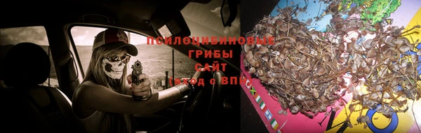 a pvp Володарск